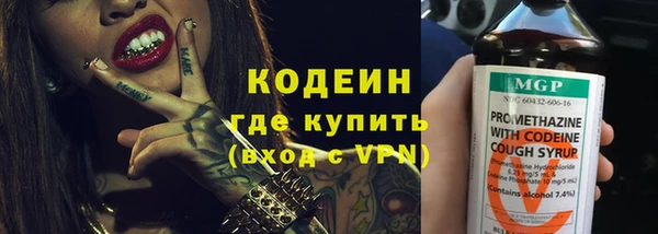 дживик Абинск