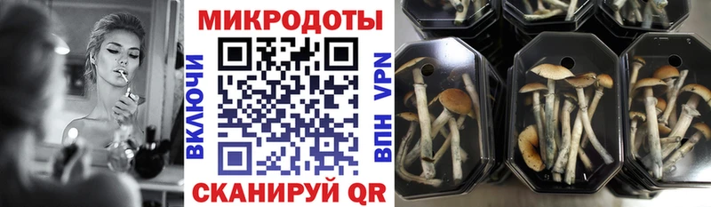 hydra ССЫЛКА  купить наркотики цена  Нефтекамск  Галлюциногенные грибы прущие грибы 